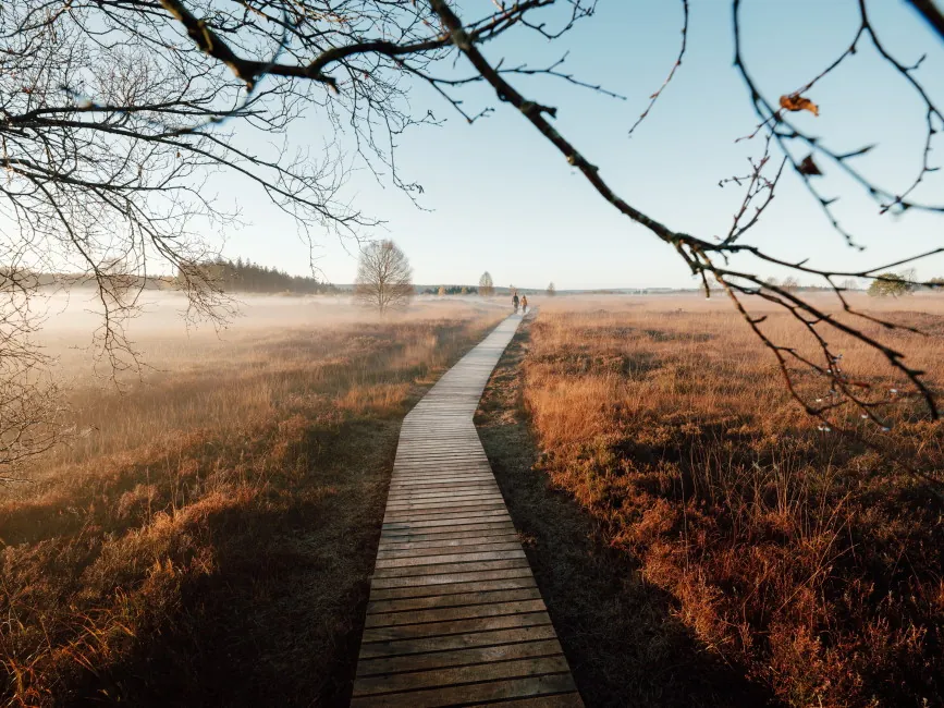 Les Hautes Fagnes, réserve naturelle de randonnée à quelques minutes de l'hôtel à Eupen