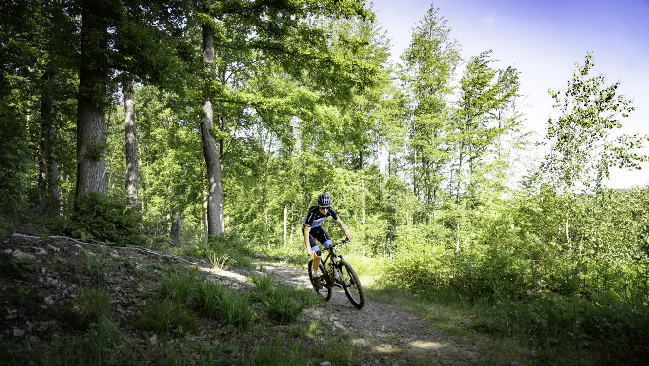 VTT en forêt ardennaise