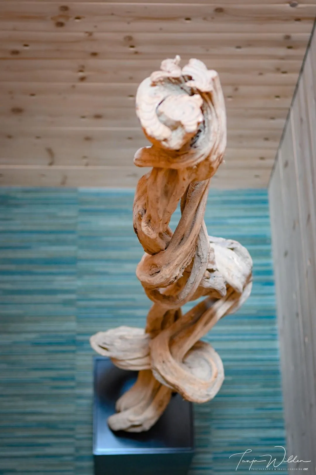 Signature wooden sculpture of the hotel — Hotel Sleepwood, Eupen — High Fens