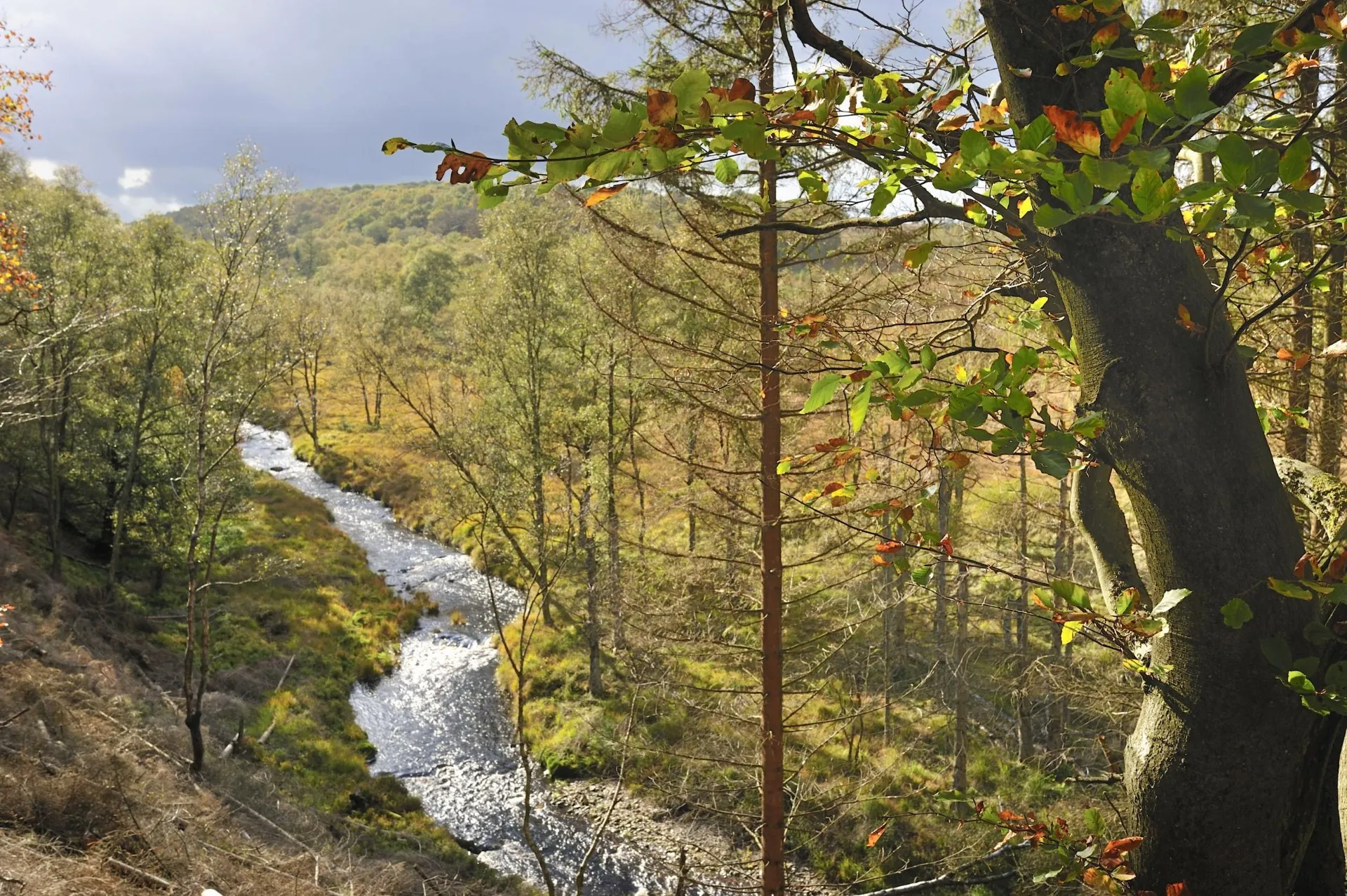 Helle valley near Eupen — Hotel Sleepwood, Eupen — High Fens
